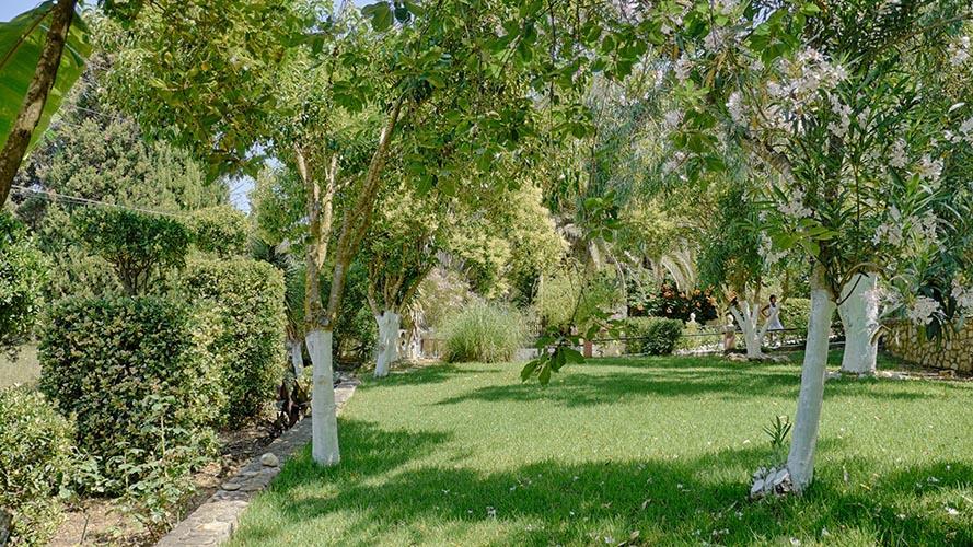 Villa Danai Агиос-Георгиос-Пагон Экстерьер фото