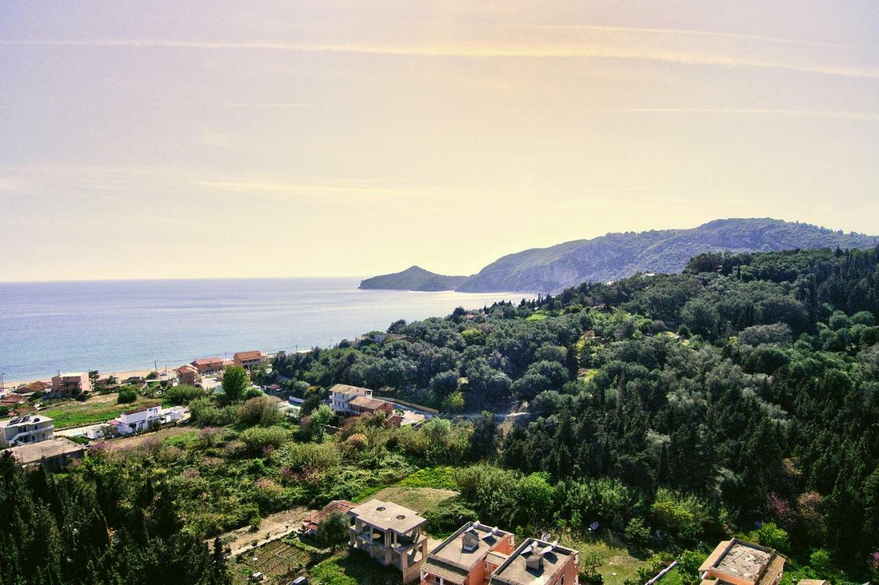 Villa Danai Агиос-Георгиос-Пагон Экстерьер фото