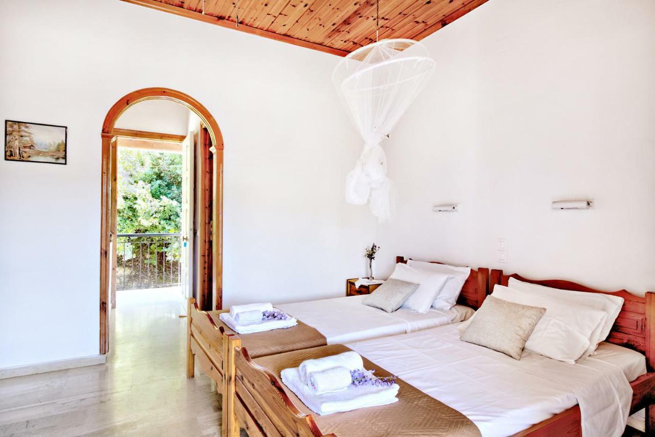 Villa Danai Агиос-Георгиос-Пагон Экстерьер фото
