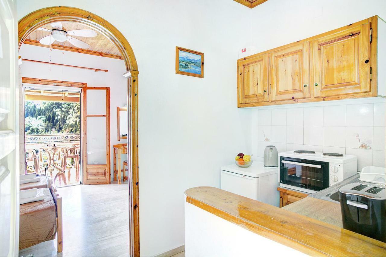 Villa Danai Агиос-Георгиос-Пагон Экстерьер фото